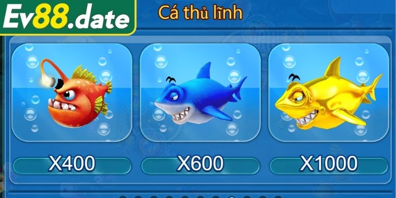 Tham khảo cách chơi hiệu quả